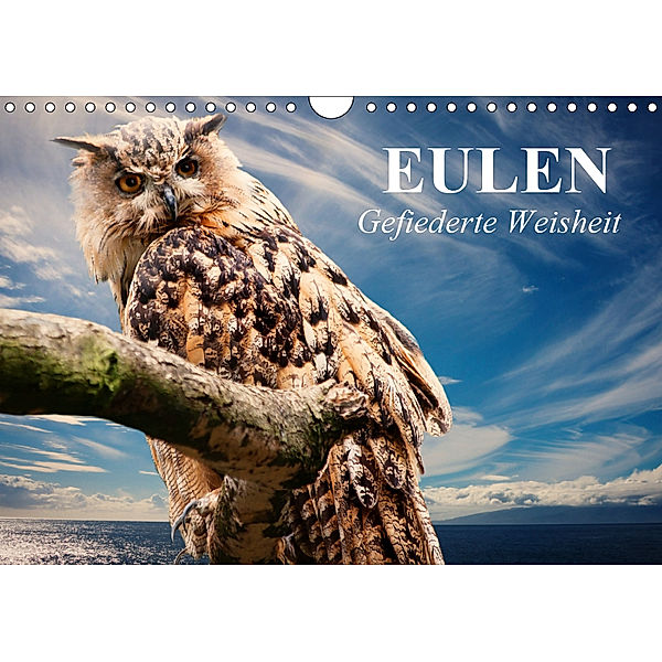 Eulen. Gefiederte Weisheit (Wandkalender 2019 DIN A4 quer), Elisabeth Stanzer