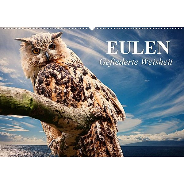 Eulen. Gefiederte Weisheit (Wandkalender 2020 DIN A2 quer), Elisabeth Stanzer