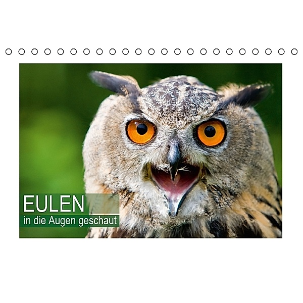 Eulen - in die Augen geschaut (Tischkalender 2014 DIN A5 quer)