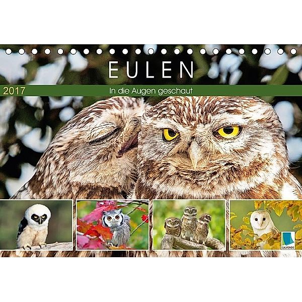 Eulen: In die Augen geschaut (Tischkalender 2017 DIN A5 quer), Calvendo