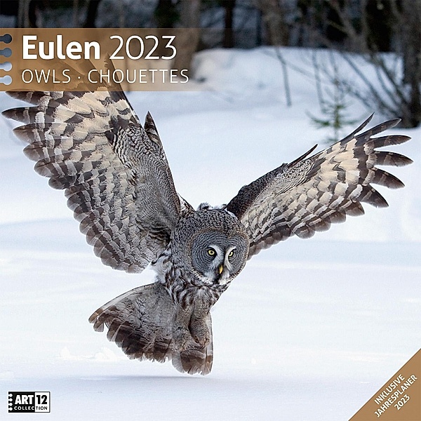 Eulen Kalender 2023 - 30x30, Ackermann Kunstverlag