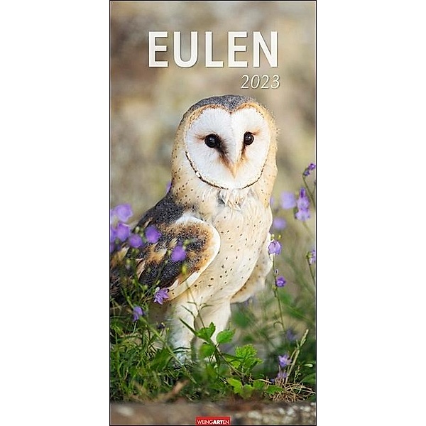 Eulen-Kalender 2023 XXL Hochformat mit einzigartigen Eulenfotos. Wandkalender 2023 Tiere in faszinierender Fotoqualität.
