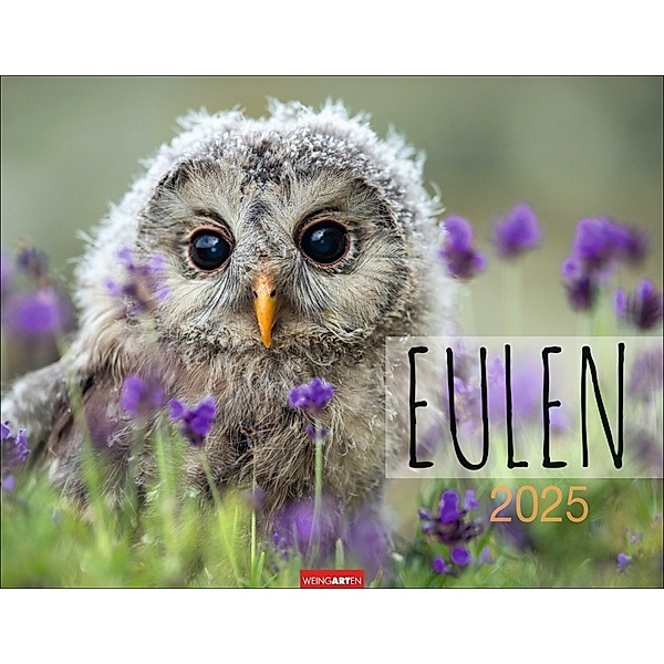 Eulen Kalender 2025