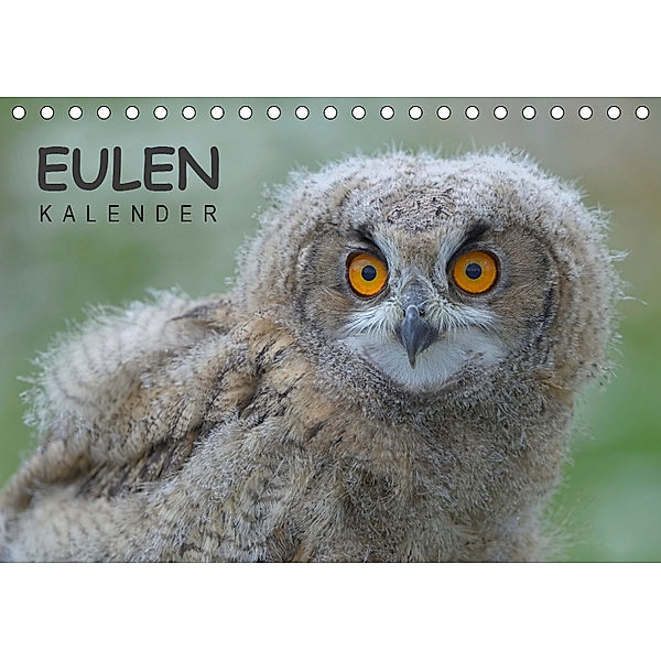 Eulen-Kalender (Tischkalender 2019 DIN A5 quer), Gerald Wolf