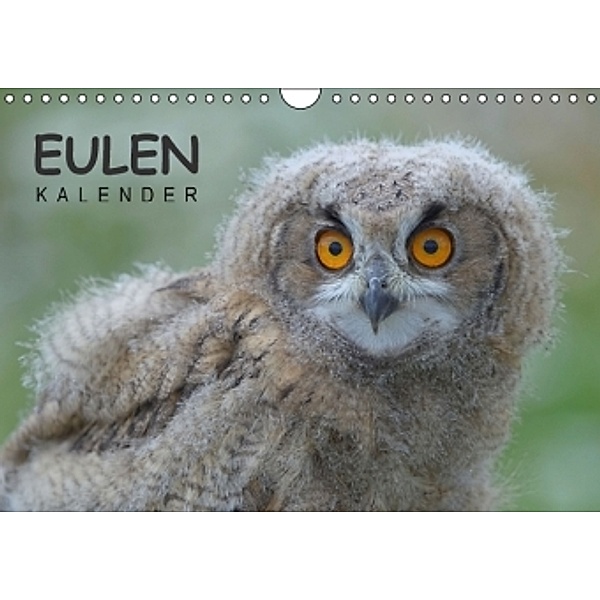 Eulen-Kalender (Wandkalender 2015 DIN A4 quer), Gerald Wolf