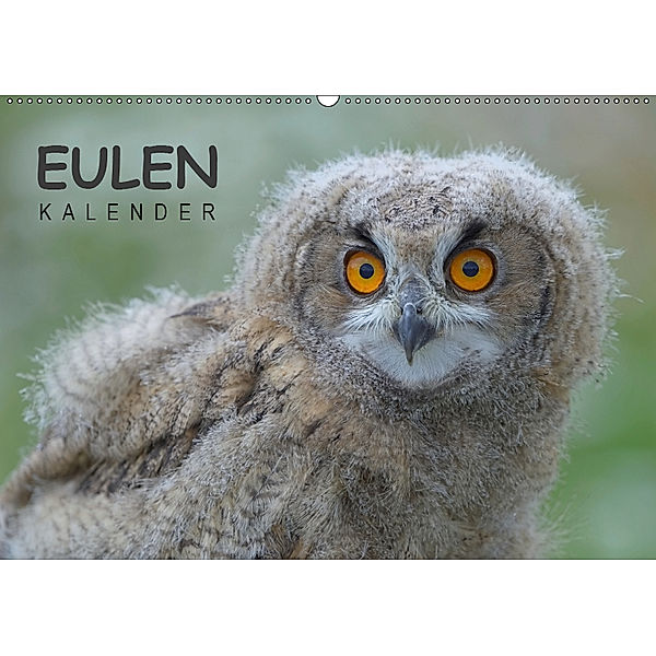 Eulen-Kalender (Wandkalender 2019 DIN A2 quer), Gerald Wolf
