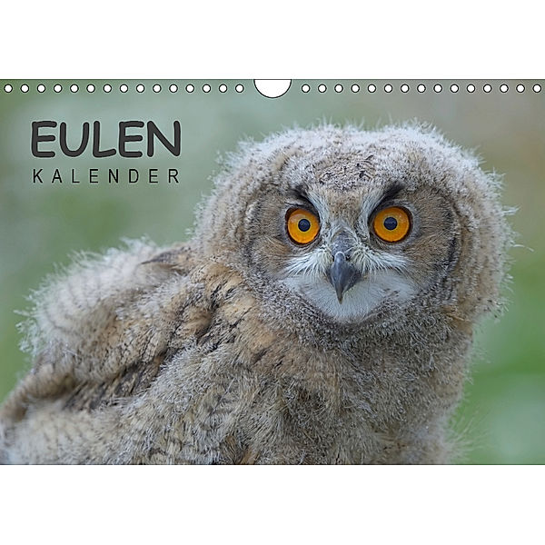 Eulen-Kalender (Wandkalender 2019 DIN A4 quer), Gerald Wolf