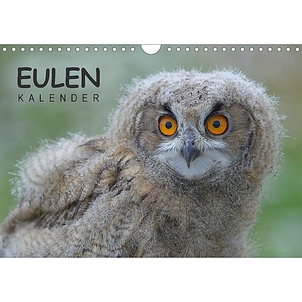 Eulen-Kalender (Wandkalender 2021 DIN A4 quer), Gerald Wolf