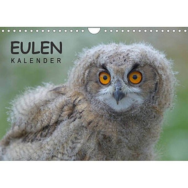 Eulen-Kalender (Wandkalender 2022 DIN A4 quer), Gerald Wolf