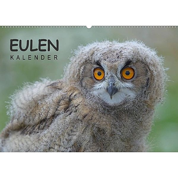 Eulen-Kalender (Wandkalender 2023 DIN A2 quer), Gerald Wolf