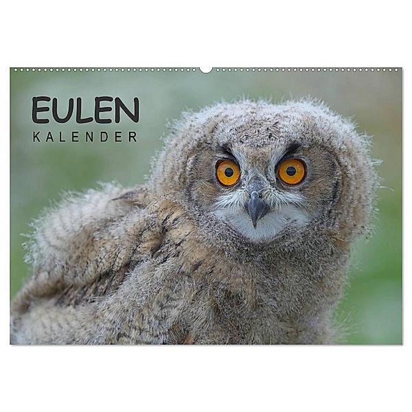 Eulen-Kalender (Wandkalender 2024 DIN A2 quer), CALVENDO Monatskalender, Gerald Wolf