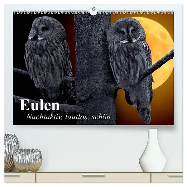 Eulen. Nachtaktiv, lautlos, schön (hochwertiger Premium Wandkalender 2024 DIN A2 quer), Kunstdruck in Hochglanz, Elisabeth Stanzer