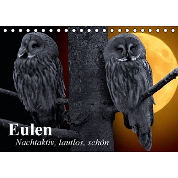 Eulen. Nachtaktiv, lautlos, schön (Tischkalender 2016 DIN A5 quer), Elisabeth Stanzer