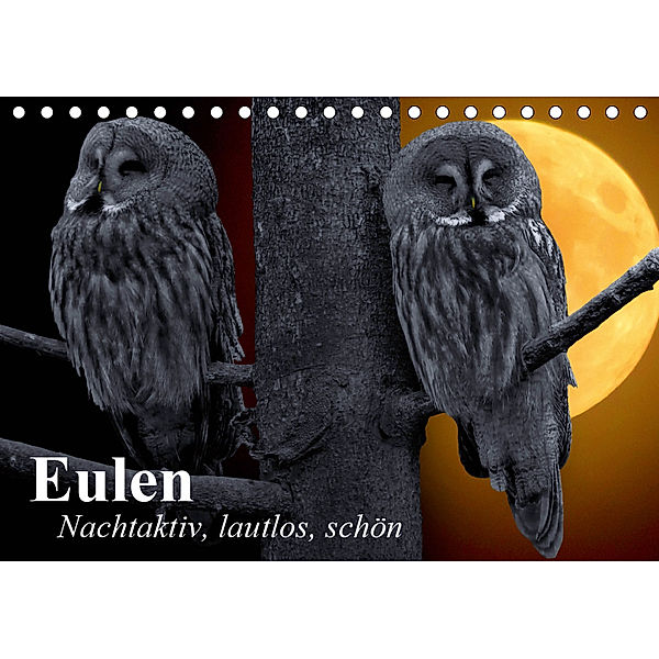 Eulen. Nachtaktiv, lautlos, schön (Tischkalender 2019 DIN A5 quer), Elisabeth Stanzer