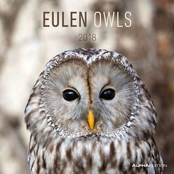 Eulen / Owls 2018