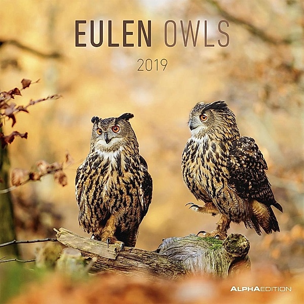 Eulen / Owls 2019, ALPHA EDITION