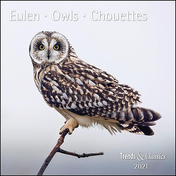 Eulen / Owls / Chouettes 2021
