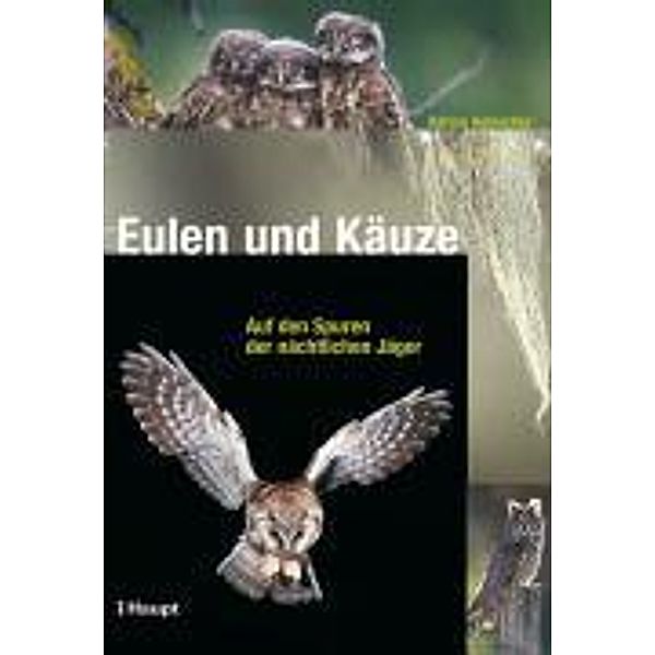 Eulen und Käuze, Adrian Aebischer