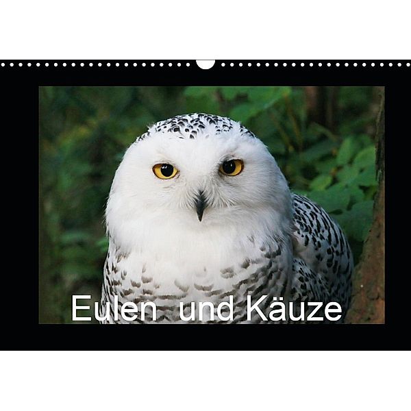 Eulen und Käuze (Wandkalender 2021 DIN A3 quer), Four Hands Art