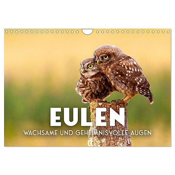 Eulen - Wachsame und geheimnisvolle Augen (Wandkalender 2024 DIN A4 quer), CALVENDO Monatskalender, SF