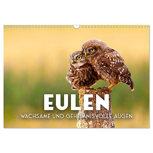 Eulen - Wachsame und geheimnisvolle Augen (Wandkalender 2024 DIN A3 quer), CALVENDO Monatskalender, SF