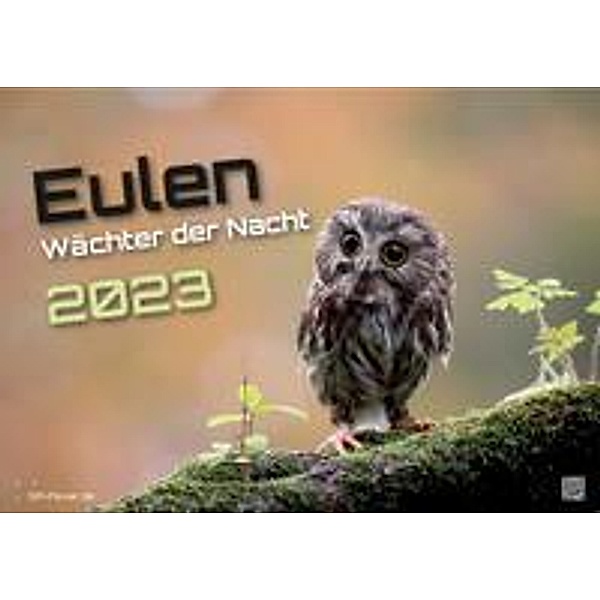 Eulen - Wächter der Nacht - 2023 - Kalender DIN A2