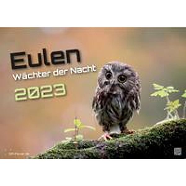 Eulen - Wächter der Nacht - 2023 - Kalender DIN A3