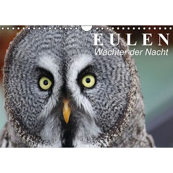 Eulen Wächter der Nacht / Geburtstagskalender (Wandkalender 2015 DIN A4 quer), Elisabeth Stanzer