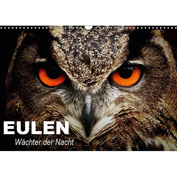 Eulen. Wächter der Nacht (Wandkalender 2019 DIN A3 quer), Elisabeth Stanzer