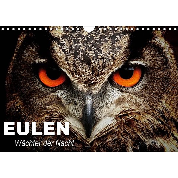 Eulen. Wächter der Nacht (Wandkalender 2020 DIN A4 quer), Elisabeth Stanzer