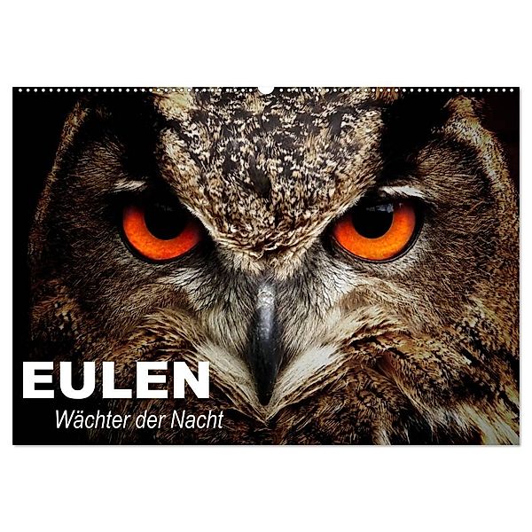 Eulen. Wächter der Nacht (Wandkalender 2024 DIN A2 quer), CALVENDO Monatskalender, Elisabeth Stanzer