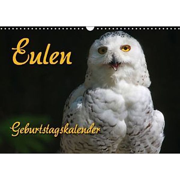 Eulen (Wandkalender 2016 DIN A3 quer), Antje Lindert-Rottke, Martina Berg