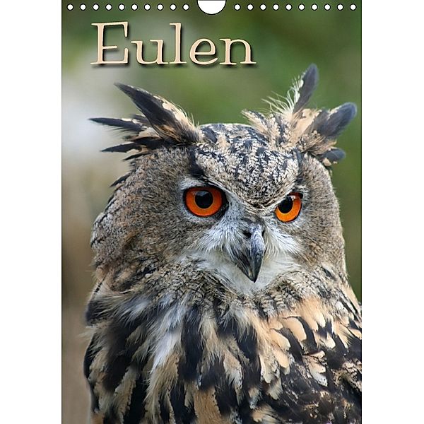 Eulen (Wandkalender 2018 DIN A4 hoch), Antje Lindert-Rottke, Martina Berg