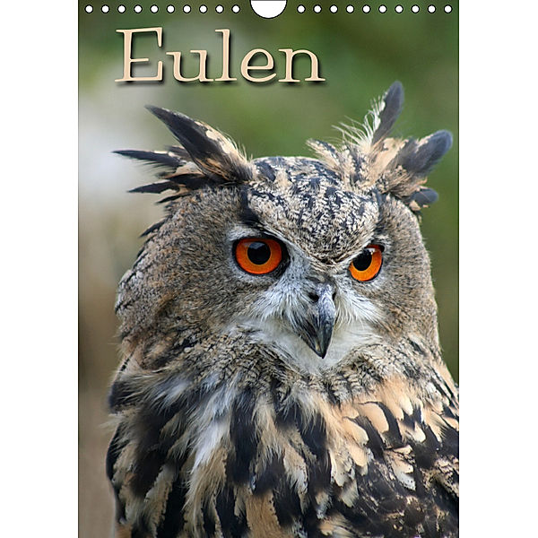 Eulen (Wandkalender 2019 DIN A4 hoch), Martina Berg, Antje Lindert-Rottke, Pferdografen.de