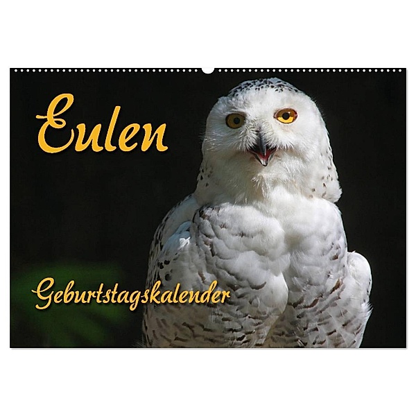 Eulen (Wandkalender 2024 DIN A2 quer), CALVENDO Monatskalender, Antje Lindert-Rottke