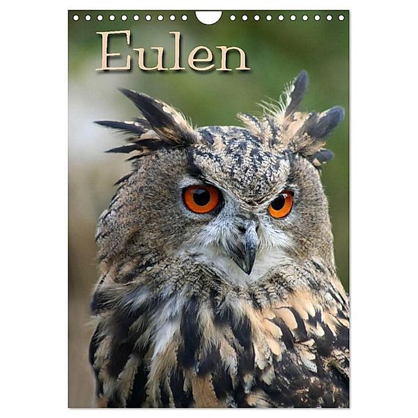 Eulen (Wandkalender 2024 DIN A4 hoch), CALVENDO Monatskalender, Pferdografen.de / Martina Berg + Antje Lindert-Rottke