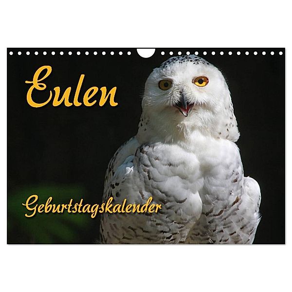 Eulen (Wandkalender 2024 DIN A4 quer), CALVENDO Monatskalender, Antje Lindert-Rottke