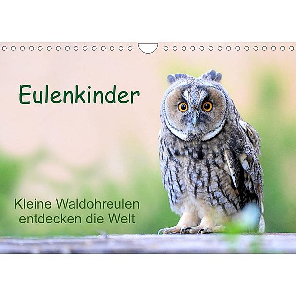 Eulenkinder - Kleine Waldohreulen entdecken die Welt (Wandkalender 2023 DIN A4 quer), Carolin Müller