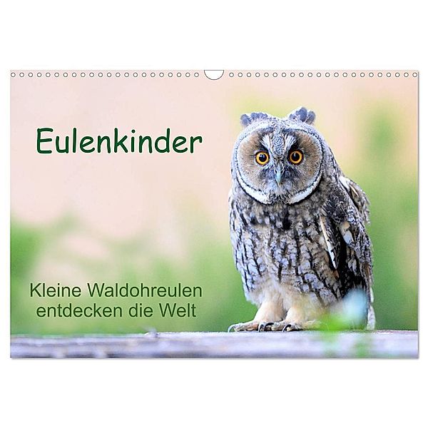 Eulenkinder - Kleine Waldohreulen entdecken die Welt (Wandkalender 2024 DIN A3 quer), CALVENDO Monatskalender, Carolin Müller