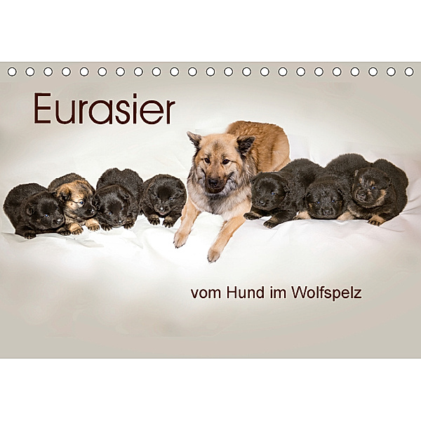 Eurasier, der Hund im Wolfspelz (Tischkalender 2018 DIN A5 quer), Peter Überall