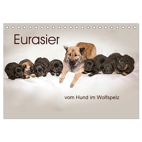 Eurasier, der Hund im Wolfspelz (Tischkalender 2024 DIN A5 quer), CALVENDO Monatskalender, Peter Überall