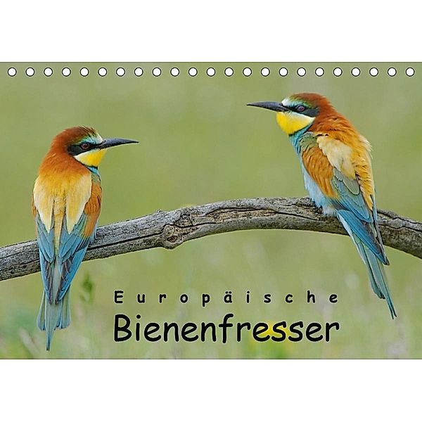 Europäische Bienenfresser (Tischkalender 2021 DIN A5 quer), Gerald Wolf