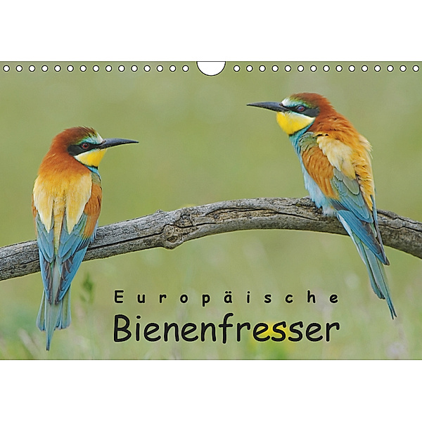 Europäische Bienenfresser (Wandkalender 2019 DIN A4 quer), Gerald Wolf