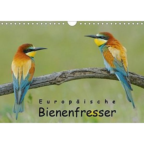 Europäische Bienenfresser (Wandkalender 2020 DIN A4 quer), Gerald Wolf