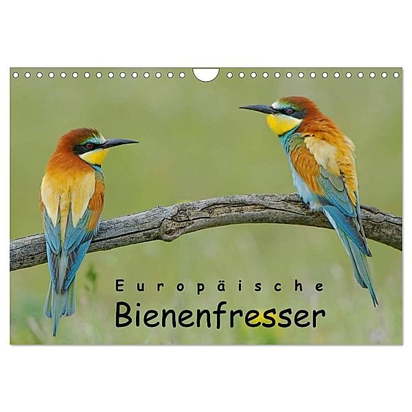 Europäische Bienenfresser (Wandkalender 2025 DIN A4 quer), CALVENDO Monatskalender, Calvendo, Gerald Wolf