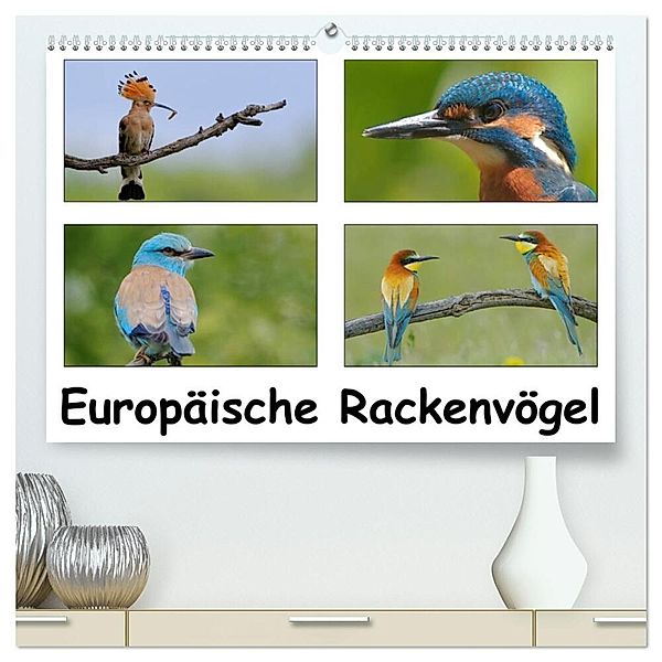 Europäische Rackenvögel (hochwertiger Premium Wandkalender 2024 DIN A2 quer), Kunstdruck in Hochglanz, Gerald Wolf