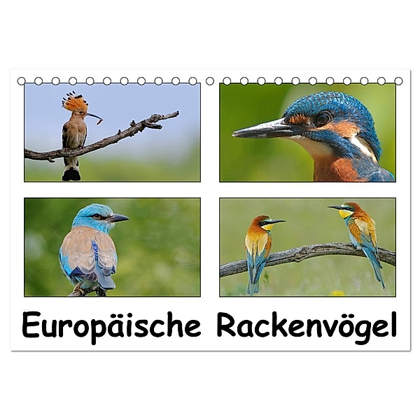 Europäische Rackenvögel (Tischkalender 2024 DIN A5 quer), CALVENDO Monatskalender, Gerald Wolf
