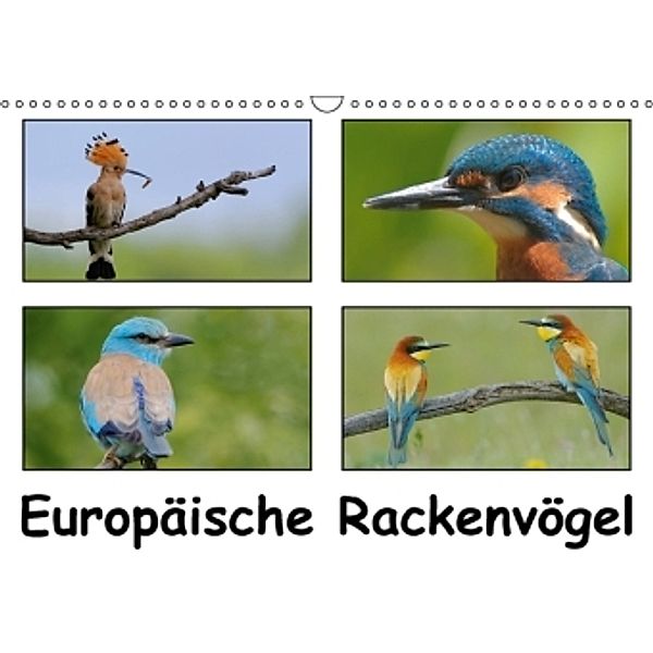 Europäische Rackenvögel (Wandkalender 2016 DIN A3 quer), Gerald Wolf