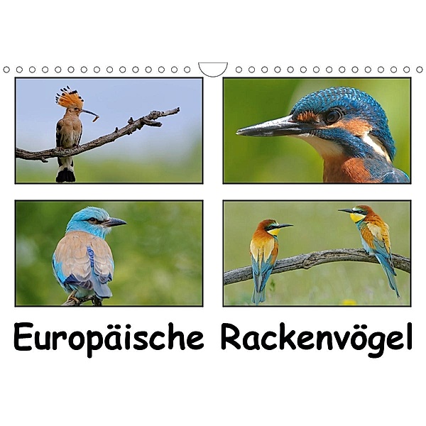 Europäische Rackenvögel (Wandkalender 2021 DIN A4 quer), Gerald Wolf