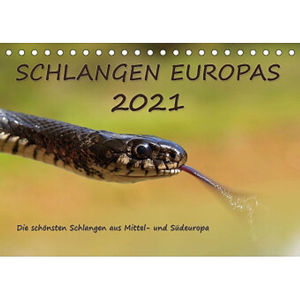 Europäische Schlangen (Tischkalender 2022 DIN A5 quer), Wolfgang Simlinger